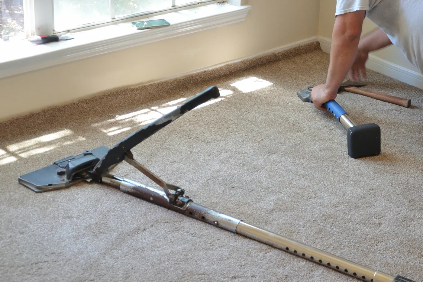 A flooring installer stretching new carpet into place